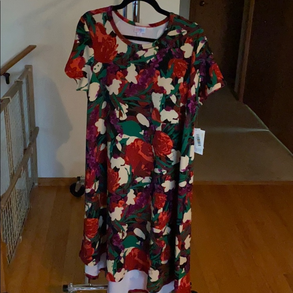 LuLaRoe Carly